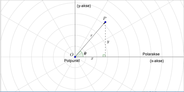 Figur 1 Polært Koordinatsystem