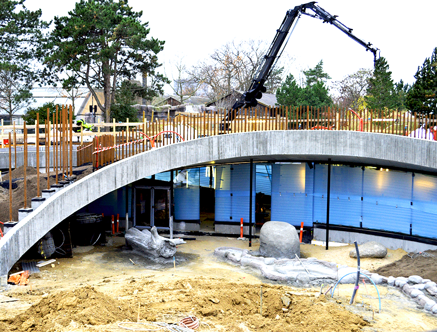 NCC bygger det nye Pandahus i Zoo i København