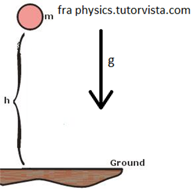 Kastanje3 (1)