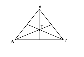 Trekanternes Tyngdepunkt - Billede 2