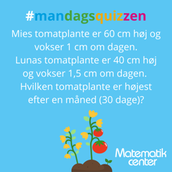 1 Tomatplanterne